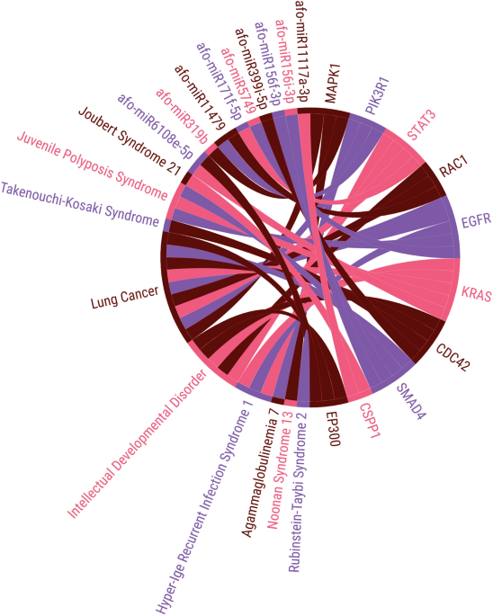 Rubinstein-Taybi Syndrome 2 disease: Malacards - Research Articles, Drugs,  Genes, Clinical Trials