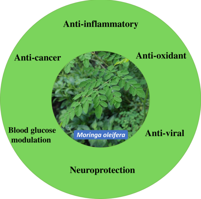 myo inositol and l-glutathione Myo-inositol, D-chiro-inositol, 5-MTHF folate in a Powder Format