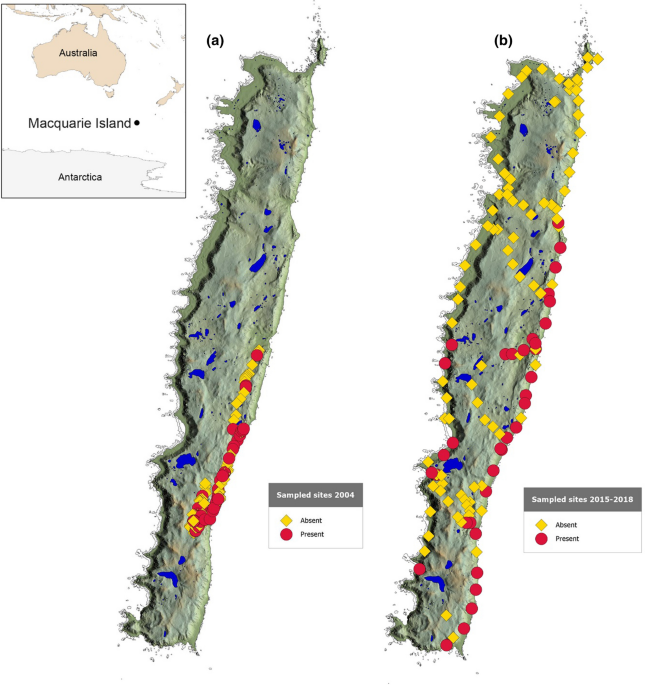Rapid range expansion of an invasive flatworm, Kontikia andersoni, on  sub-Antarctic Macquarie Island
