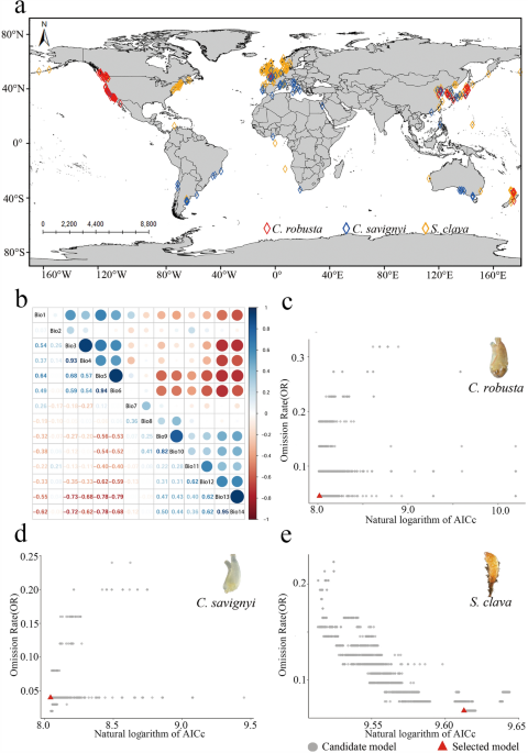 A combined approach of multi-factor assessment for three ascidians invasion - Biological Invasions