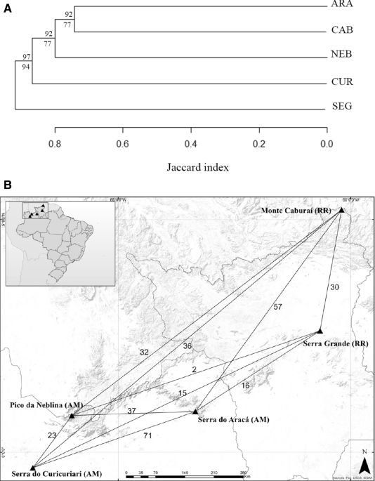 The first botanical explorations of bryophyte diversity in the Brazilian  Amazon mountains: high species diversity, low endemism, and low similarity  | Biodiversity and Conservation
