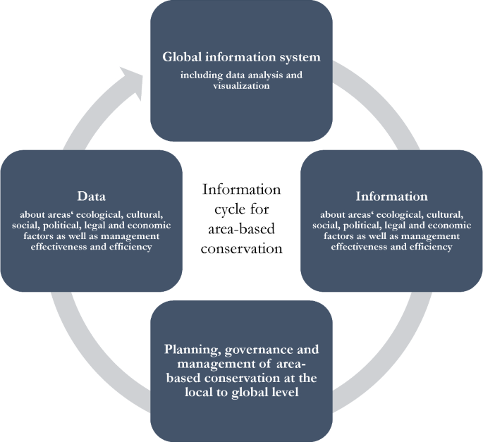 PDF) A functional vulnerability framework for biodiversity conservation