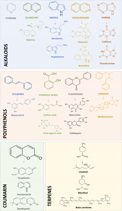 liver glutathione system Changes in Glutathione Content in Liver Diseases: An Update