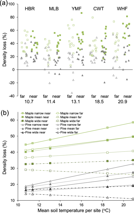 Physical and chemical properties of Coarse Woody Debris submitted to the  natural process of decomposition in a Secondary Atlantic Forest Fragment in  Brazil