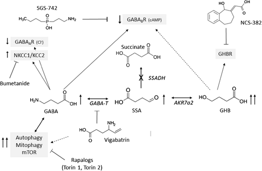 glutathione master antioxidant benefits Glutathione- The Ultimate Antioxidant  Purifi IV