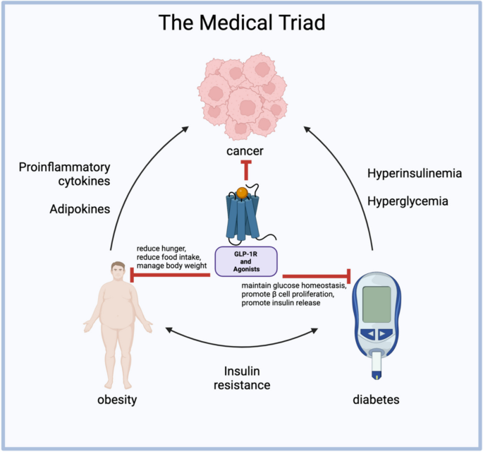 astria therapeutics glp-1 receptor agonist weight management diabetes treatments The effect of GLP-1R agonists on the medical triad of obesity, diabetes,  and cancer | Cancer and Metastasis Reviews