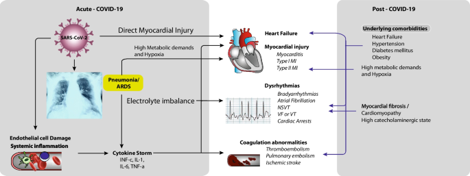 Spectrum of Cardiac Manifestations in COVID-19