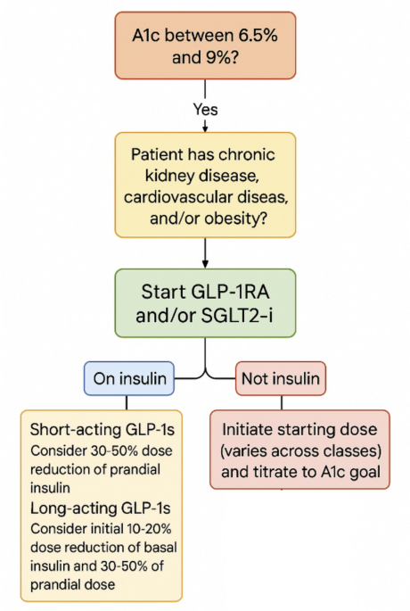 reduce basal insulin when starting glp-1 receptor agonist GLP1-RA and SGLT2-i: Implementation and Insulin Deescalation Strategies |  Cardiovascular Drugs and Therapy