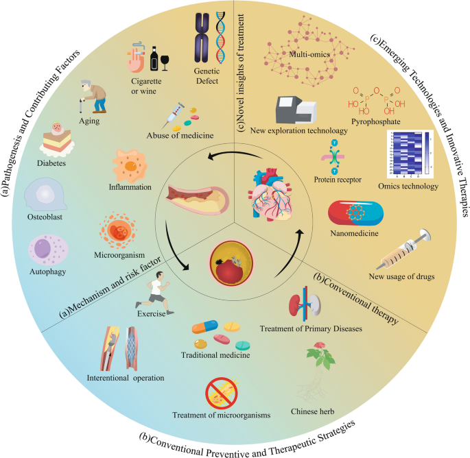 Targeting Vascular Calcification: Novel Insights into Molecular Pathways and Clinical Interventions | Cardiovascular Drugs and Therapy