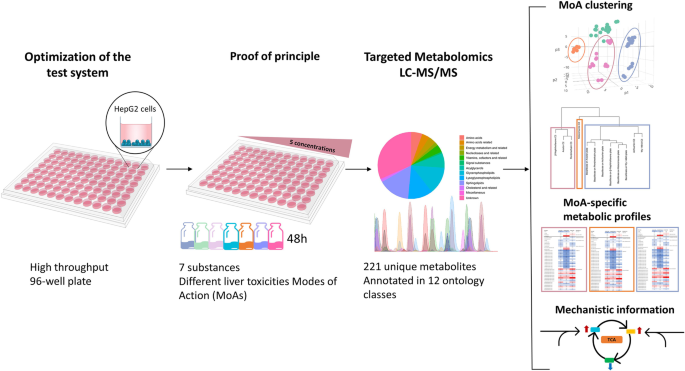 Higher throughput workflow with sensitive, reliable and automatic  quantification of myelination in vitro suitable for drug screening