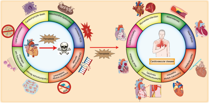 cofactor for glutathione reductase Analysis of the interaction of antimalarial agents with Plasmodium  falciparum glutathione reductase through molecular mechanical calculations  | Journal of Molecular Modeling