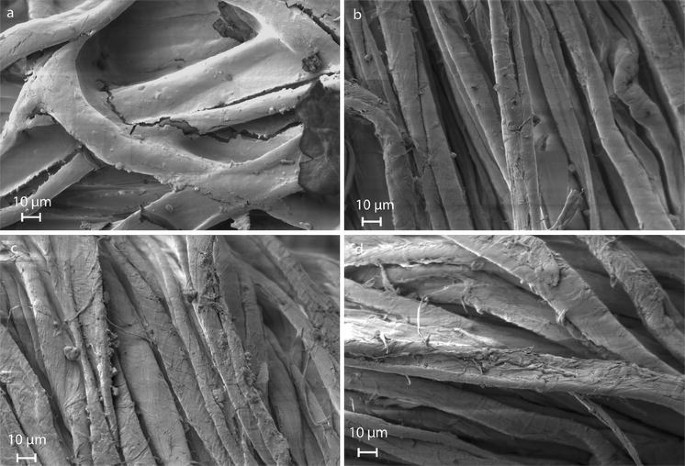 Chemical and ultrastructural changes in cotton cellulose induced by  laundering and textile use | Cellulose