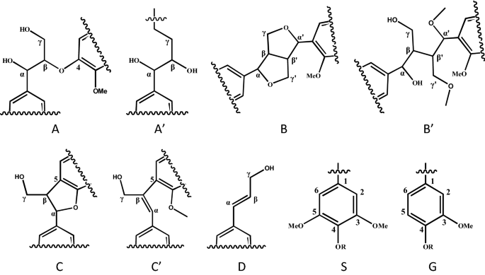 The key chemical structures in the spectra. A β-aryl ether, B