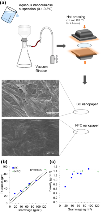 https://media.springernature.com/m685/springer-static/image/art%3A10.1007%2Fs10570-021-03935-2/MediaObjects/10570_2021_3935_Fig2_HTML.png