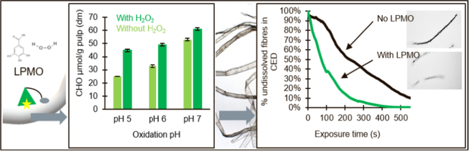 Engineered LPMO Significantly Boosting Cellulase-Catalyzed Depolymerization  of Cellulose