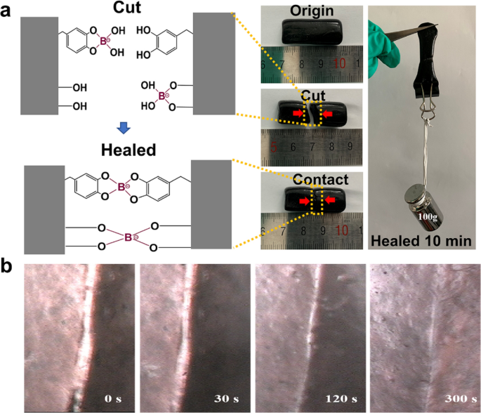 Mussel-Inspired Multifunctional Hydrogel Coating for Prevention of