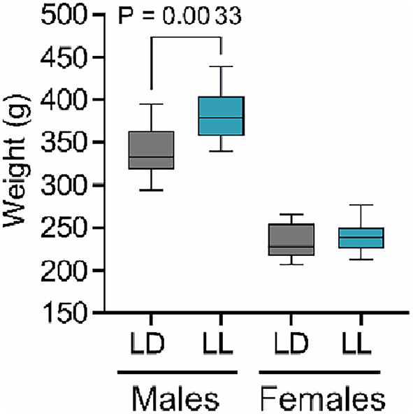 Low Intensity Constant Light During Early Postnatal Development  