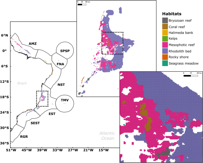 A multi-decadal baseline of marine temperature extremes across Brazil’s coastal foundation habitats - Climatic Change