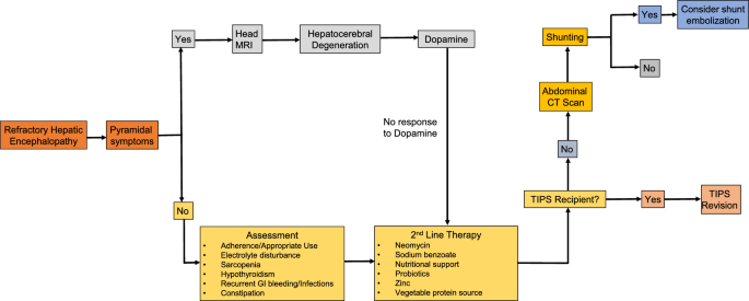 is l carnitine safe for hypothyroidism L-Carnitine Benefits Patients with Acetyl-L-Carnitine: Benefits, Forms, Dosing, and