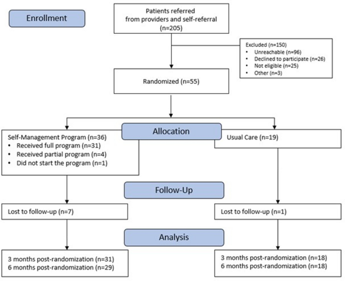 Feasibility, Acceptability, and Preliminary Effects of a Nurse-Delivered Self-Management Program for Individuals with Inflammatory Bowel Disease: A Pilot Randomized Controlled Trial