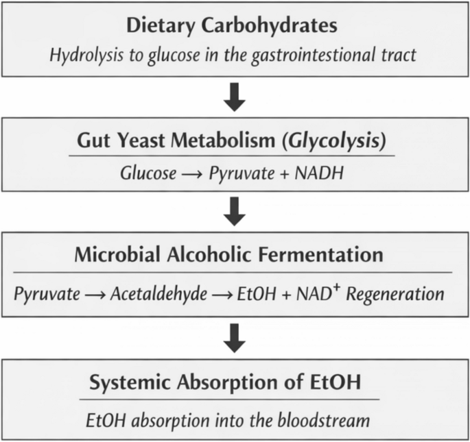 Homemade Microbrew: Auto-brewery Syndrome in a Patient with Crohn’s Disease