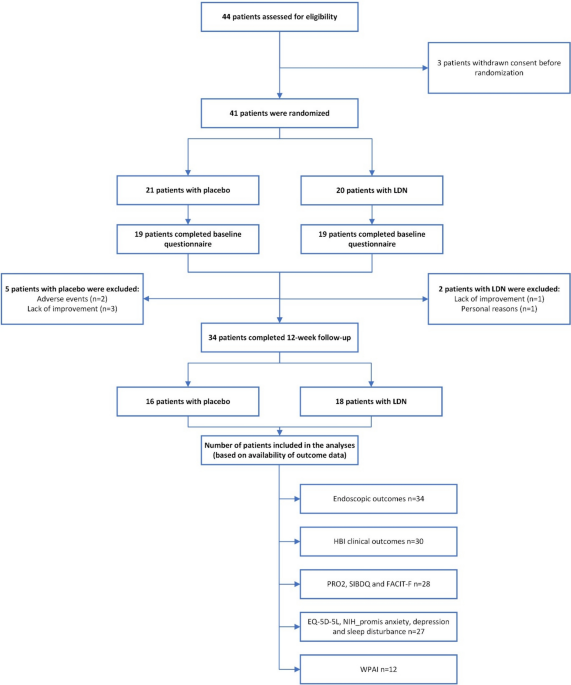 Low-Dose Naltrexone in Crohn’s Disease: A Prematurely Terminated Randomized Trial Showing Reduced Fatigue Without Clinical or Endoscopic Benefit
