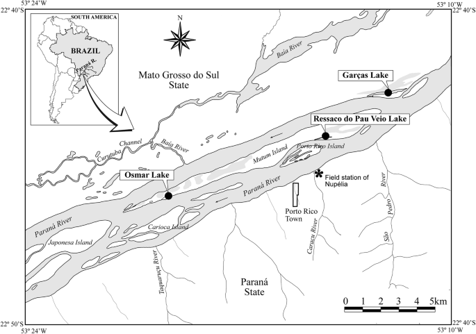 Study area and sampling lakes in the Upper Paraná River Floodplain