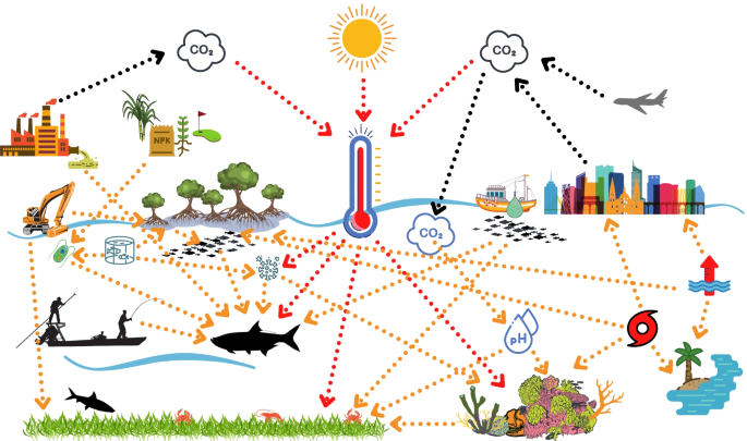 Warming and overfishing could switch the role of fishes in the marine  carbon cycle