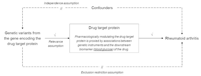 Repurposing antidiabetic drugs for rheumatoid arthritis: results from a  two-sample Mendelian randomization study