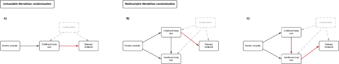 Childhood body size directly increases type 1 diabetes risk based