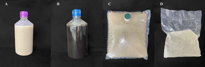 Formulation-dependent efficacy of Bacillus velezensis BEIB-46 for the biological control of Meloidogyne incognita in cotton - European Journal of Plant Pathology