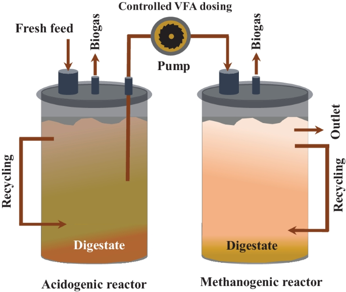 How organic overloads affect the anaerobic digesters microbiome