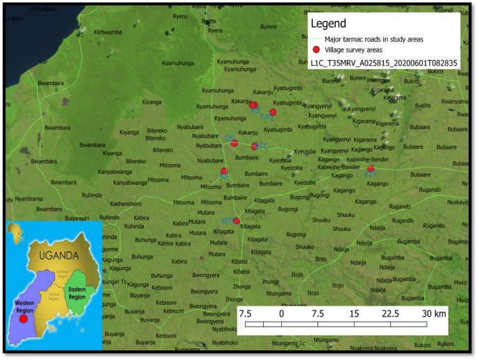 (PDF) Epidemiologic potentials and correlational analysis of Vibrio species  and virulence toxins from water sources in greater Bushenyi districts,  Uganda