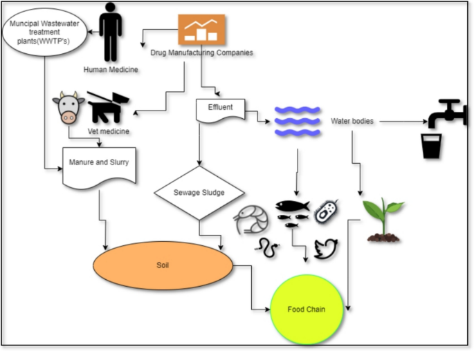 Unveiling the environmental threat of acetaminophen: ecotoxicology, microbial remediation, and molecular modelling insights | Environmental Monitoring and Assessment | Springer Nature Link Unveiling the environmental threat of acetaminophen: ecotoxicology, microbial remediation, and molecular modelling insights | Environmental Monitoring and Assessment | Springer Nature Link