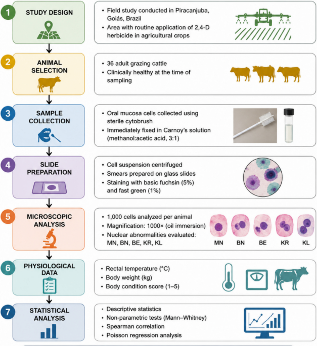 Evaluation of nuclear abnormalities in buccal mucosa cells of grazing cattle from pastures routinely treated with 2,4-D: an exploratory field study - Environmental Monitoring and Assessment