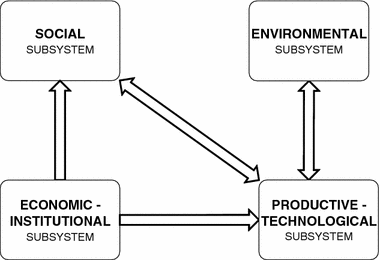 Multi-causal and integrated assessment of sustainability: the case of  agriculturization in the Argentine Pampas