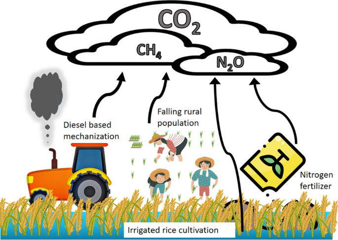 GRAIN  How much of world's greenhouse gas emissions come from agriculture?