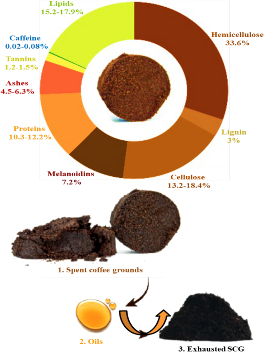Complete Utilization of Spent Coffee Grounds To Produce Biodiesel, Bio-Oil,  and Biochar