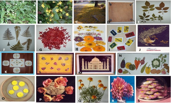 Pressed Flower, Flowers For Crafts, Pressed Resin, Mixed Dry Flowers, Flower  Art, Dried Flower, Jewelry Making - Yahoo Shopping