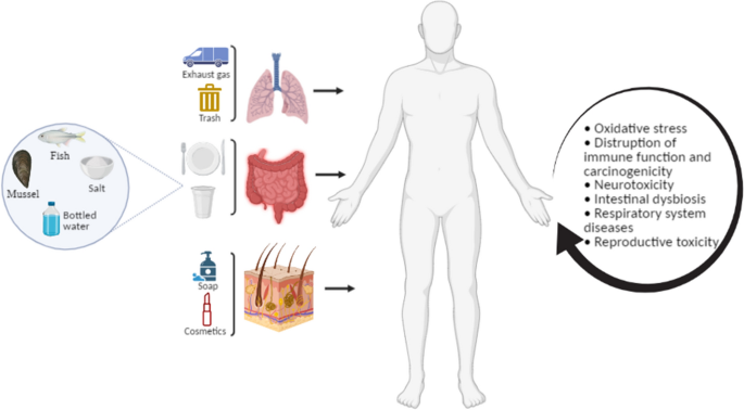 bulletproof glutathione force 500 mg reviews InterdisciplinaryInspired Smart Antibacterial Materials and Their Biomedical Applications - Wu - 2024 - Advanced Materials Did you know your morning