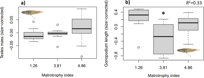 Ecology, Evolution, and Behavior of Viviparous Fishes