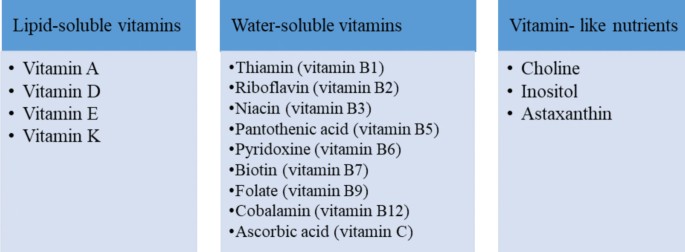 is vitamin c lipid soluble Vitamins Tetrahexyldecyl Ascorbate vs. Ascorbic Acid: