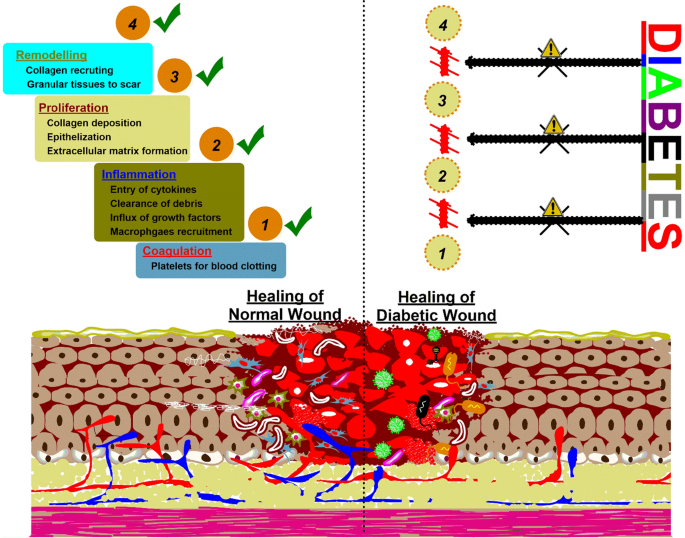 ipamorelin cardiac benefits evidence Ipamorelin is a potent growth hormone-releasing peptide that has some  potential advantages over some of the others. Although peptides seem to be  doled out like aspirin, keep in mind that these are