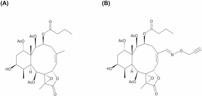 Pharmacological modulation of STING-associated signaling alleviates bladder inflammation, epithelial barrier dysfunction, and pain in experimental cystitis