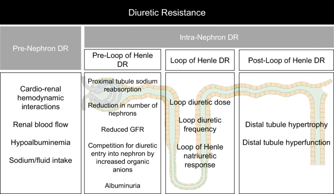 Loop Diuretic Resistance Complicating
