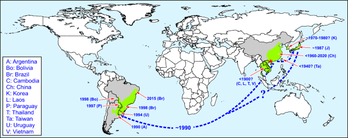 N-S cross section in the Salto do Jacuí (RS, Brazil) region