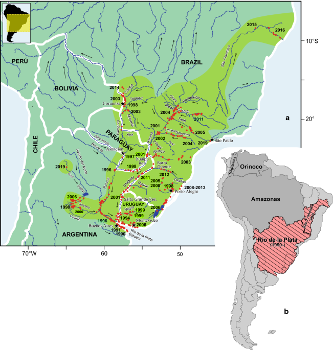 N-S cross section in the Salto do Jacuí (RS, Brazil) region