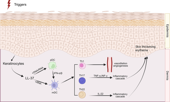 l carnitine and psoriasis FDA-approved non-biologic medications for their level of Sleep and the gut microbiome
