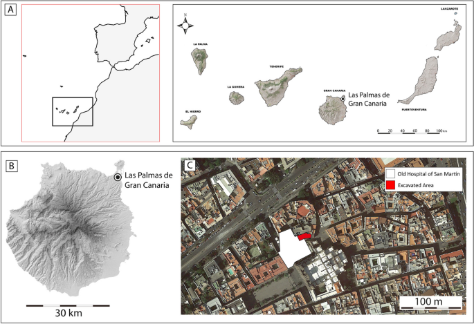 tobacco limit from gran canaria to uk Animal Consumption at Hospital de San Martín (Gran Canaria): First  Zooarchaeological Analysis in the Modern Era of the Canary Islands  (Fifteenth-Eighteenth Centuries CE) | International Journal of Historical  Archaeology