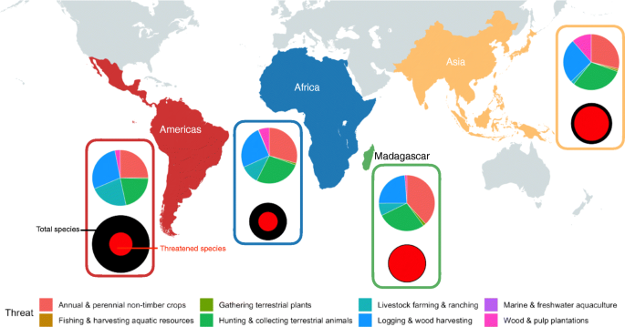 Factors influencing terrestriality in primates of the Americas and  Madagascar